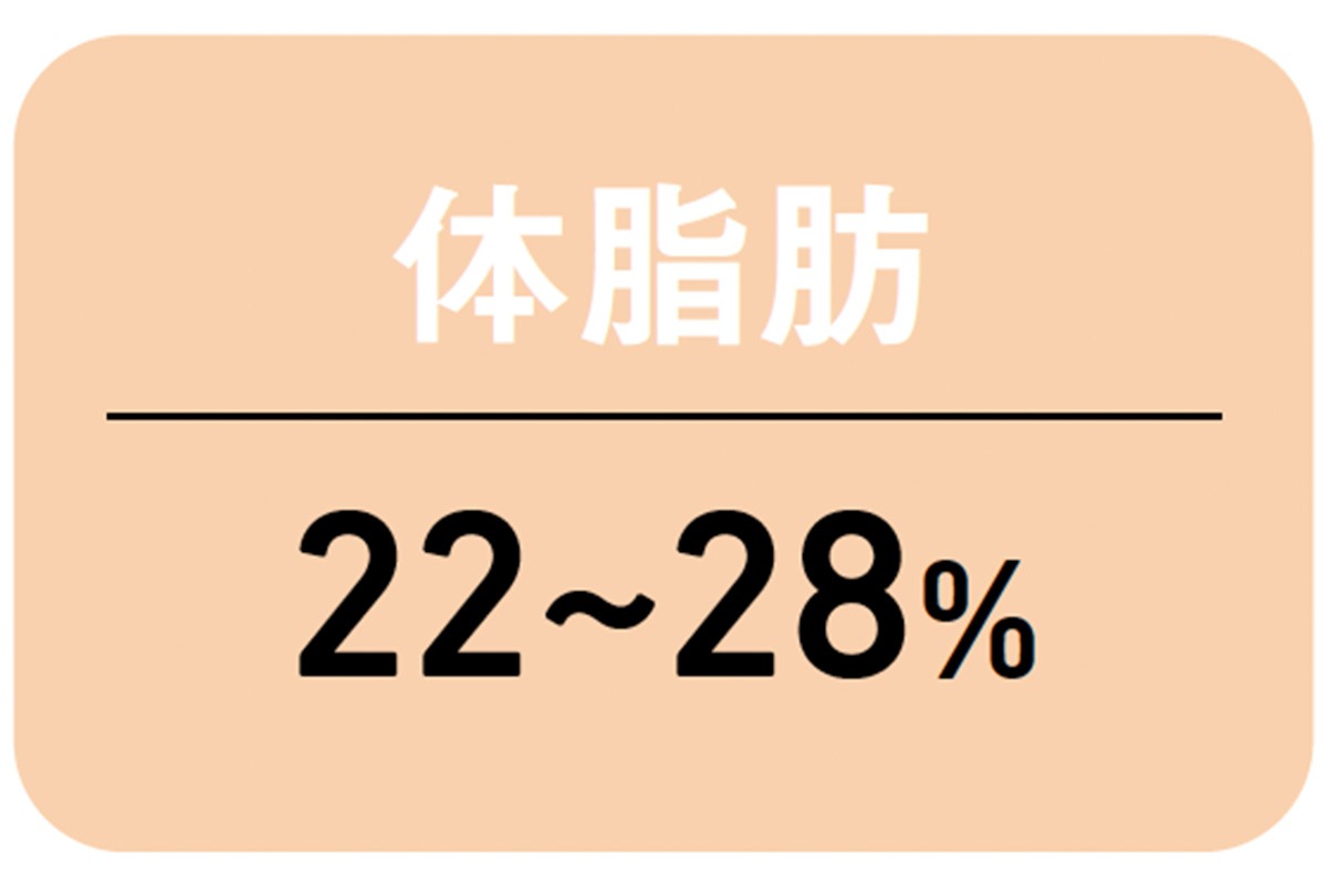 40代の理想的な体脂肪率