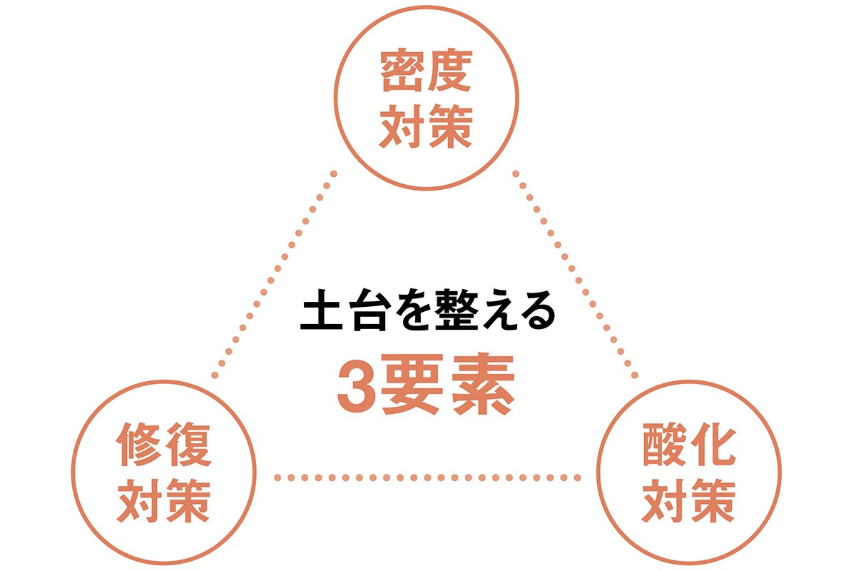 肌の土台を整える3要素「密度対策」「酸化対策」「修復対策」の図